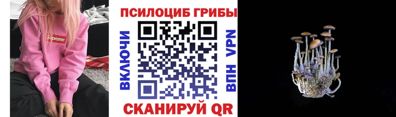 Купить где  Мытищи  Галлюциногенные грибы прущие грибы 