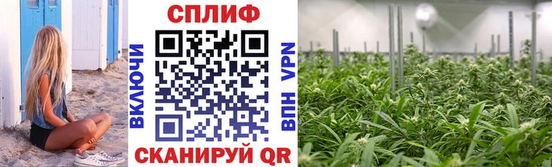 Шишки марихуана Bruce Banner Мытищи